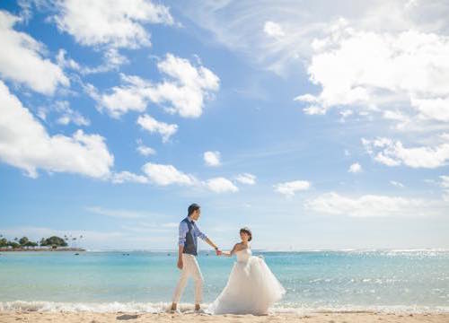 8100 Farny 8100 Farny