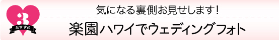 ハワイ、ウエディングフォト、裏側、ハネムーン