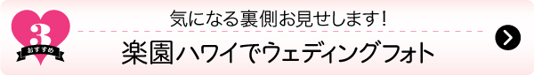 ハワイ、ウエディングフォト、裏側、ハネムーン