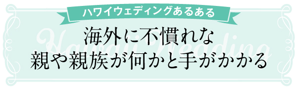 ハワイ　ウエディング　花嫁　結婚　式　ハネムーン　便利　親　親族　ツアー