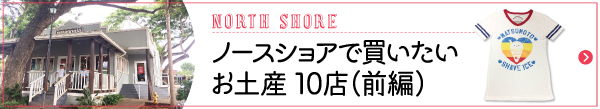 ハワイ　ノース　ノースショア　エリア　お土産　おすすめ