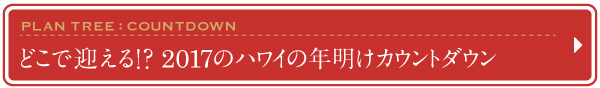 2016　2017　ハワイ　年末年始　おすすめ　プラン　年明け　カウントダウン　年越し　初日の出