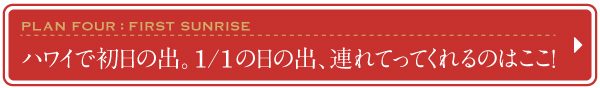 2016　2017　ハワイ　年末年始　おすすめ　プラン　ツアー　元旦　初日の出　1/1