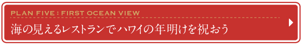 2016　2017　ハワイ　年末年始　おすすめ　プラン　レストラン　海の見えるレストラン　初日の出　年明け