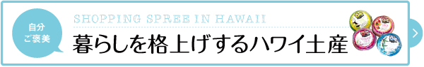 2017　ハワイ　お土産　セレクトショップ　おすすめ　ご褒美　買い物　天国　ロゴ