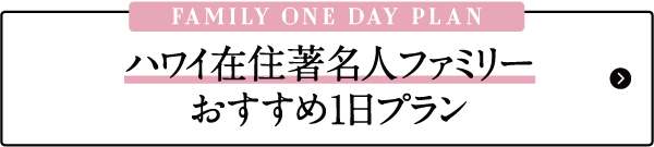 ハワイ有名人　芸能人　1日プラン　ハワイ