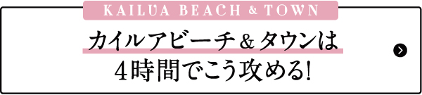 ハワイ　おすすめ　モデルプラン　カイルア　ビーチ　タウン　お土産　雑貨