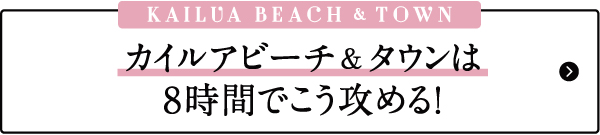 ハワイ　おすすめ　モデルプラン　カイルア　ビーチ　タウン　お土産　雑貨