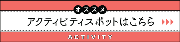 2017　ハワイ　夏休み　おすすめ　観光　スポット　アクティビティ　オプショナルツアー