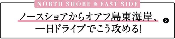 ハワイ　おすすめ　モデルプラン　ノースショア　ハレイワ　ビーチ　タウン　お土産　雑貨