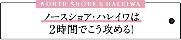 ハワイ　おすすめ　モデルプラン　ノースショア　ハレイワ　ビーチ　タウン　お土産　雑貨