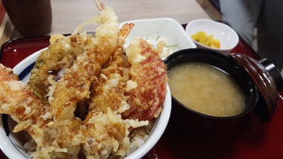 源ちゃん天丼2