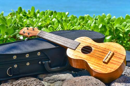 kaukau_puapua2