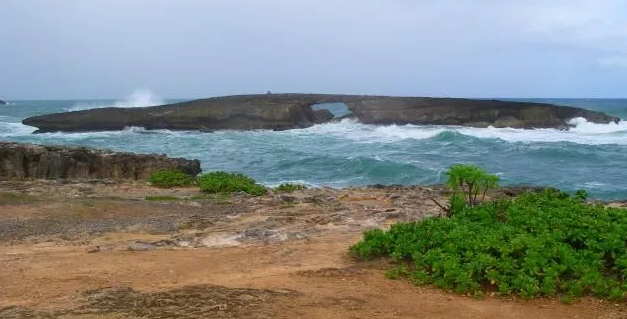 laie