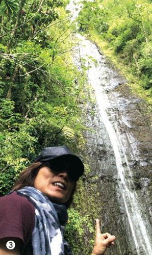 ハワイ 有名人 芸能人 つんく つんくさん マノアの滝