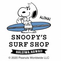 ディズニー画像ランド 75 壁紙 ハワイ スヌーピー 画像 ディズニー画像ランド 75 壁紙 ハワイ スヌーピー 画像