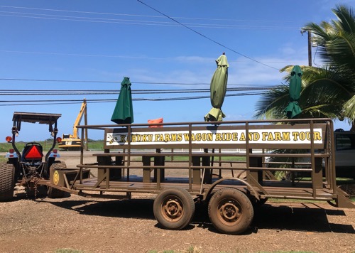 ハワイ ノースショア カフクファーム ファームツアー HAWAII NORTHSHORE KAHUKU FARM FARM TOUR