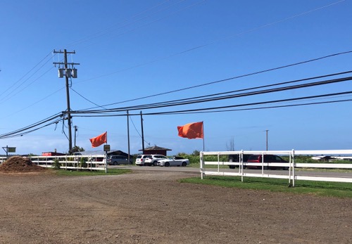 ハワイ ノースショア カフクファーム KAHUKU FARM