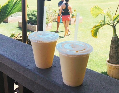 ハワイ ノースショア カフクファーム ファームツアー スムージー SMOOTHIE HAWAII NORTHSHORE KAHUKU FARM FARM TOUR
