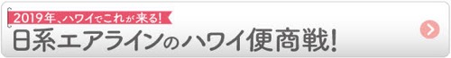 2019 ハワイ 流行1