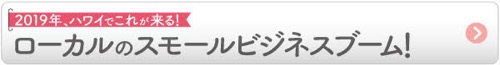 2019　ハワイ　流行り　流行　スモールビジネス　ローカルビジネス　ハワイのお店　ハワイのビジネス