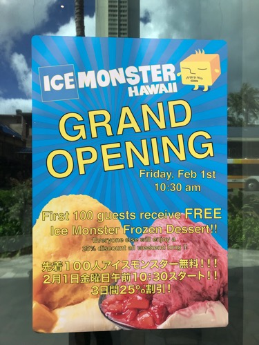 th_Ice Monster Hawaii Waikiki Shave Ice 21