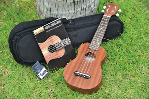 th_Ukulele-Store-500x332