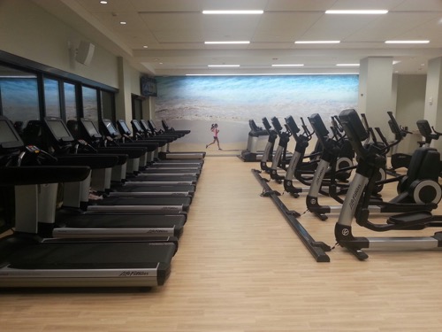 th_2-2-mandara-Kalia gym - 1