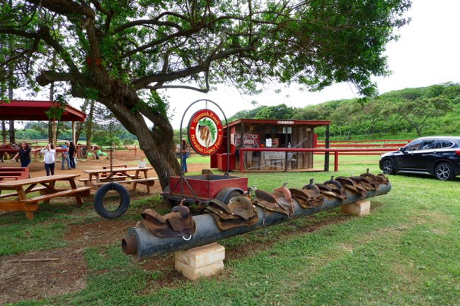 thgunstock ranch hawaii northshore oahu1