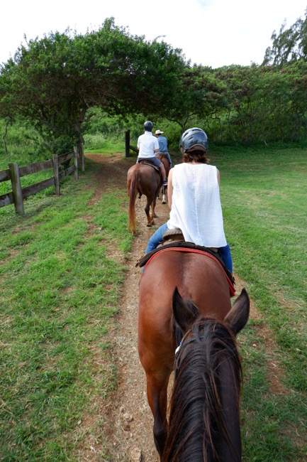 thgunstock ranch hawaii northshore oahu2