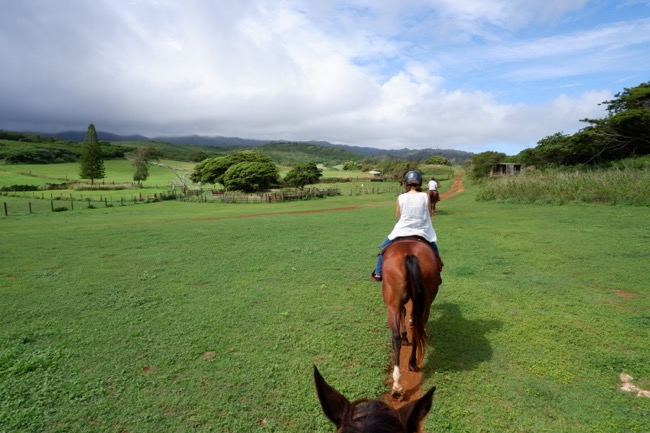 thgunstock ranch hawaii northshore oahu2