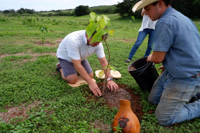 thgunstock ranch hawaii northshore oahu8