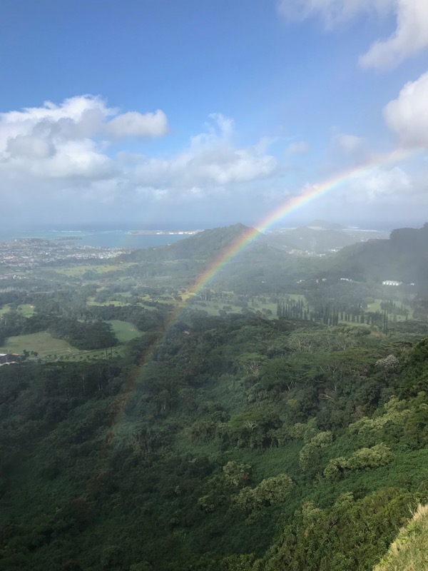 ハワイの 見たら幸運が訪れる 景色をお届け 虹 レインボー 編 Kaukau ハワイのお得なクーポン 予約ならカウカウ