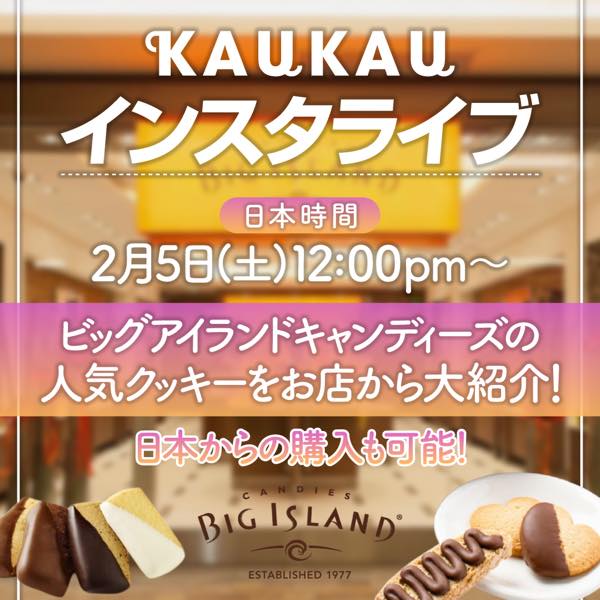 ハワイのビッグアイランドキャンディーズ日本からの通販情報とおすすめ
