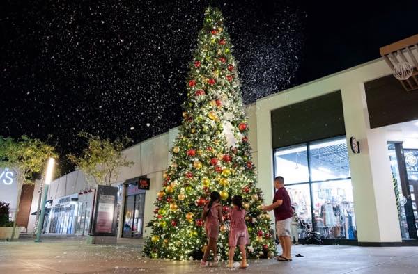 th_カマカナアリイ クリスマス営業時間