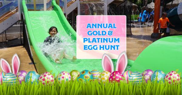 th_2023-Gold-Platinum-Egg-Hunt-B-1-1536x811