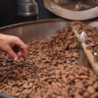th_マノアチョコレート　ハワイgrabbing roasted bean