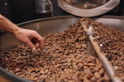 th_マノアチョコレート　ハワイgrabbing roasted bean