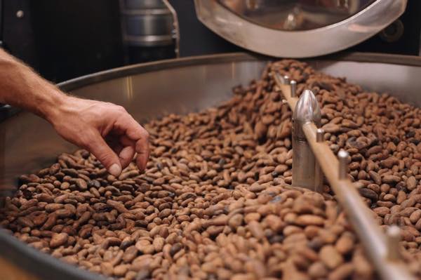 th_マノアチョコレート　ハワイgrabbing roasted bean
