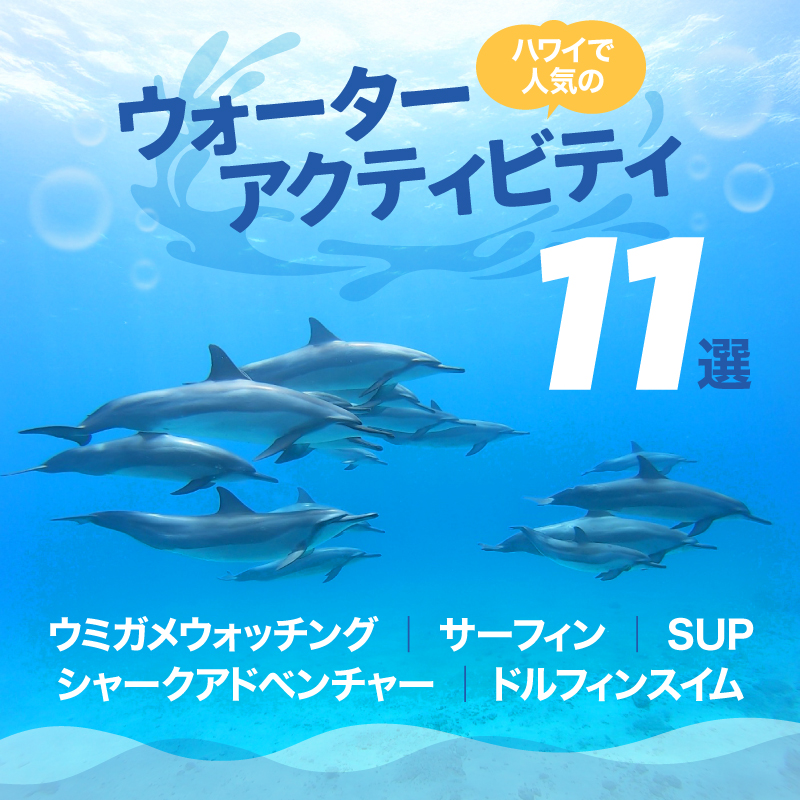 2026年最新】ハワイで人気のウォータースポーツ＆アクティビティ11選