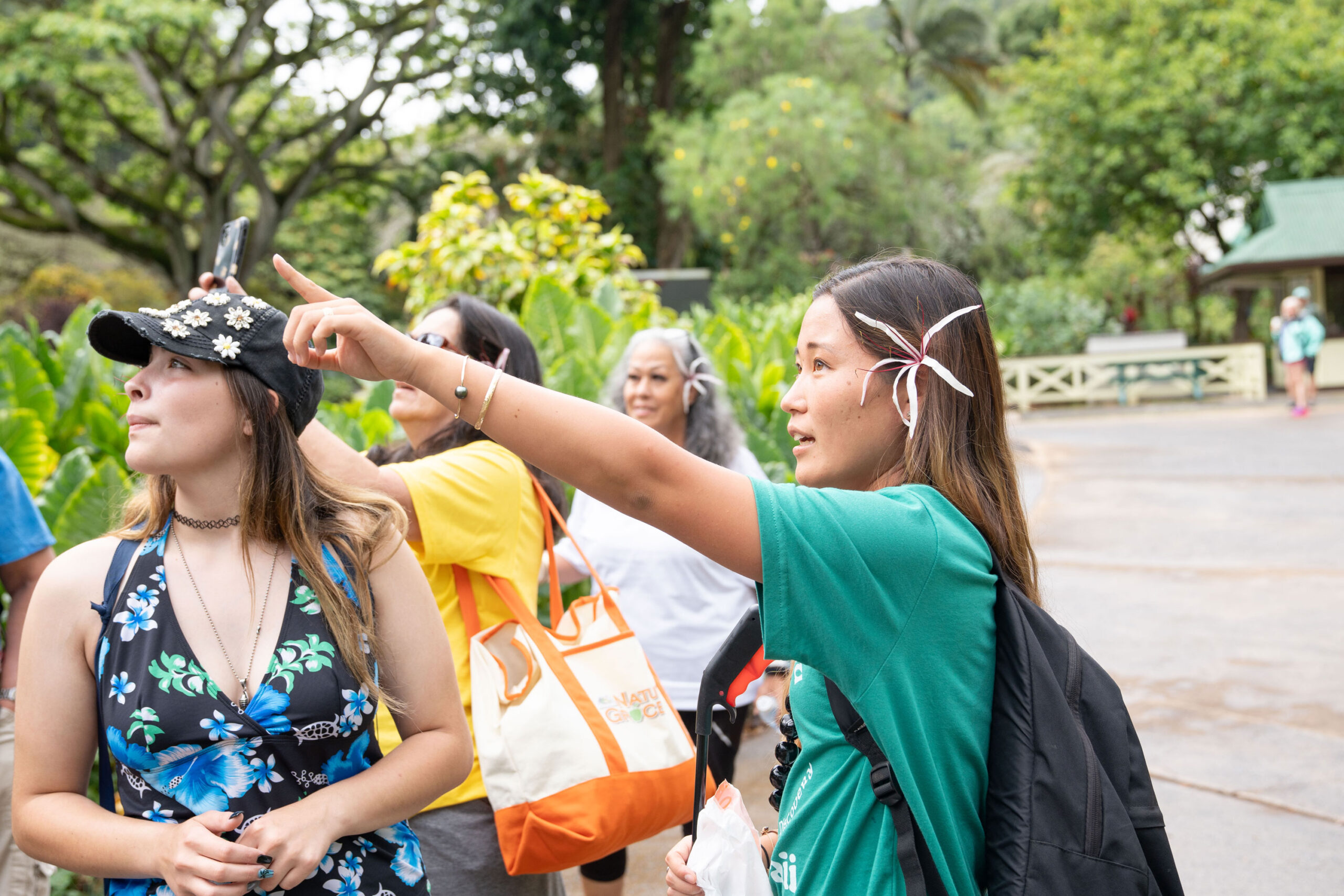Waimea Guide