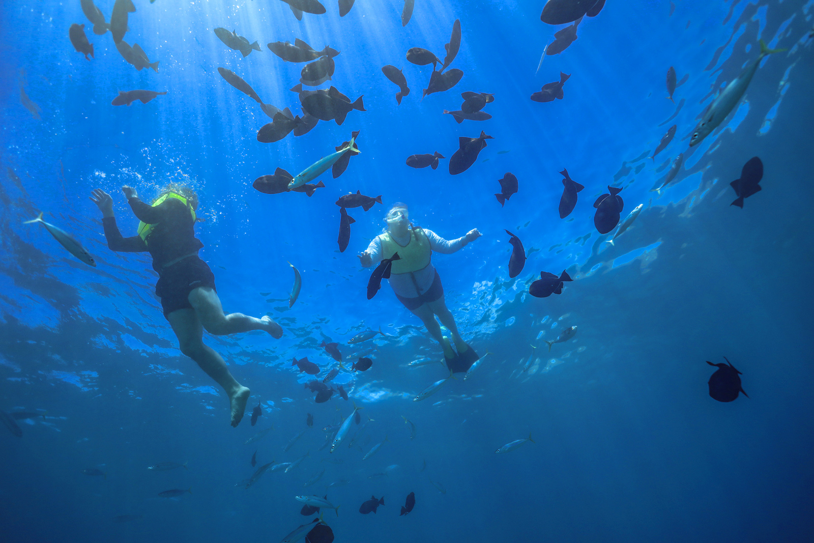 snorkeling